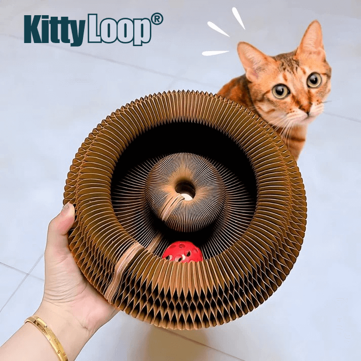 KittyLoop®
