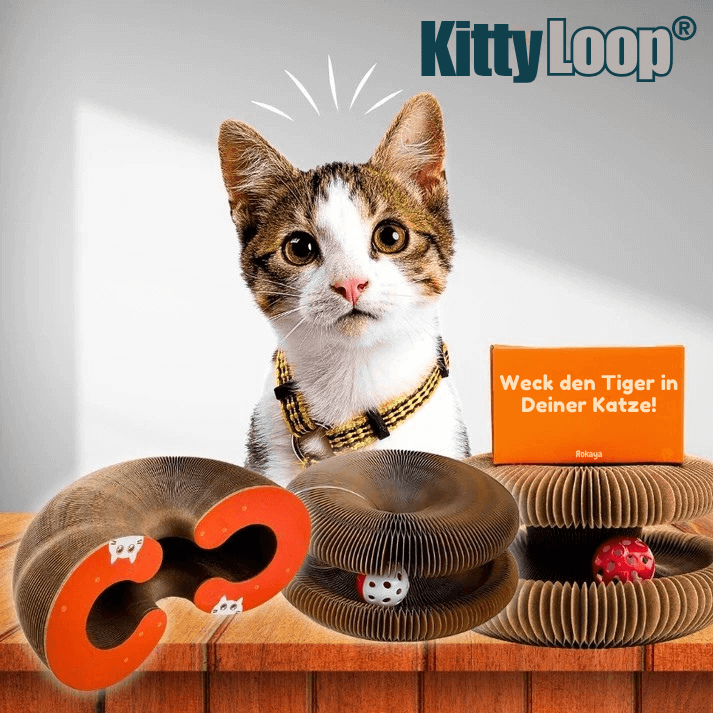 KittyLoop®