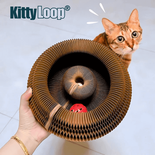 KittyLoop®