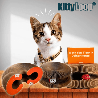 KittyLoop®