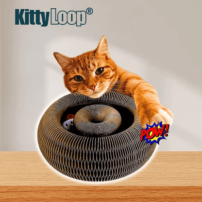 KittyLoop®