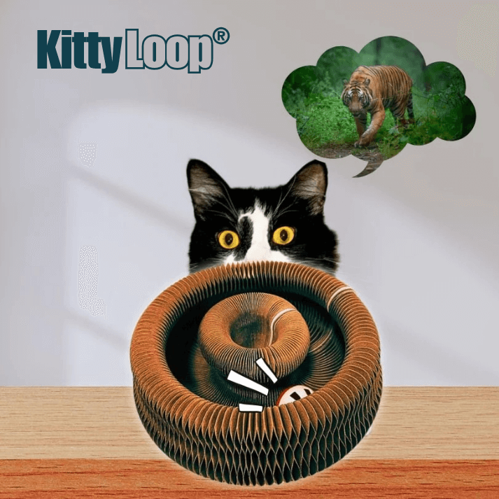 KittyLoop®
